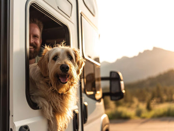 Dog friendly camping